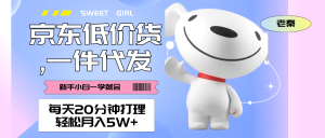 每天20分钟打理京东低价货,一件代发-轻松月入5W＋ 老秦
