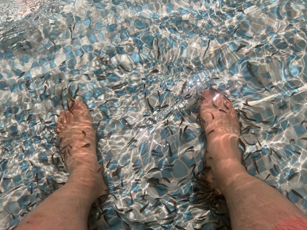 图片[9] 老秦：2024龙年是运势之年 老秦