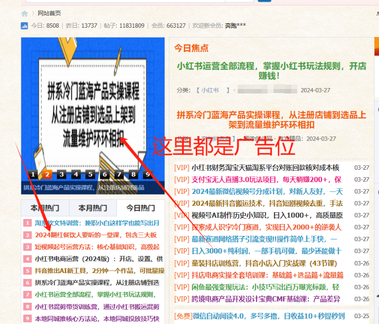 图片[6] 每天加加论坛博主，给所谓的博主大佬放广告，月佣金轻松10000+？ 老秦