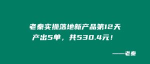 老秦实操落地新产品第12天、产出5单,共530.4元! 老秦