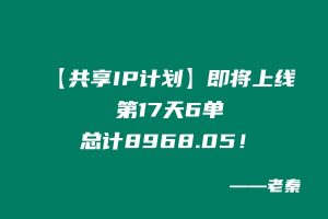 第17天：【共享IP计划】即将上线，今天6单，总计8968.05！ 老秦