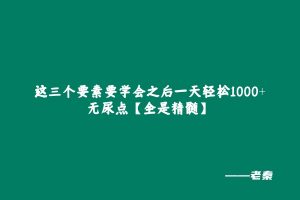 这三个要素要学会之后一天轻松1000+，无尿点【全是精髓】 老秦