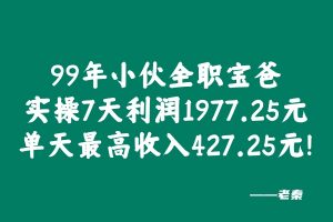 99年小伙全职宝爸，每天3小时实操7天利润1977.25元，单天最高收入427.25元！【全实操过程进行揭秘】 老秦