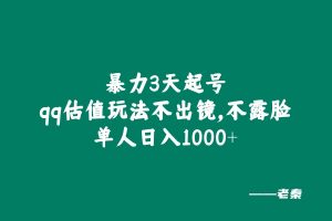 全新暴力3天起号qq估值玩法，不出镜，不露脸，单人日入1000+ 老秦