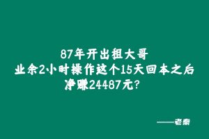87年开出租大哥,业余2小时操作这个15天回本之后净赚24487元? 老秦
