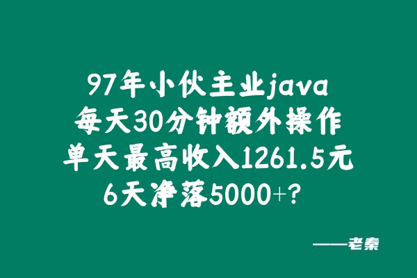 97年小伙主业java每天30分钟额外操作单天最高收入1261.5元，6天净落5000+？ 老秦