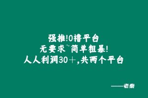 强推!0撸平台,无要求~简单粗暴!人人利润30+,共两个平台 老秦