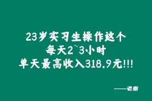 23岁实习生操作这个每天2~3小时，单天最高收入318.9元！！！ 老秦