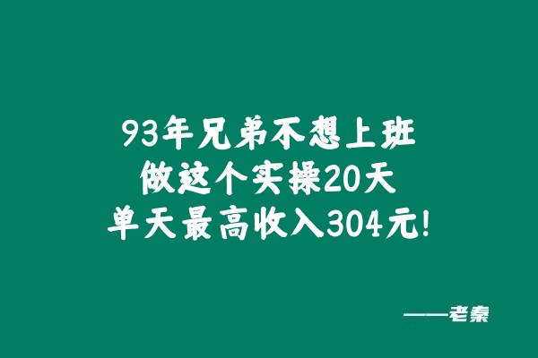 93年兄弟不想上班，做这个实操20天，单天最高收入511元！ 老秦