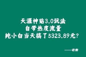 天涯神贴3.0玩法,自带热度流量,纯小白当天搞了5323.89元? 老秦