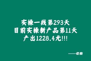 实操一线第293天,目前实操新产品第11天产出1228.4元!!! 老秦