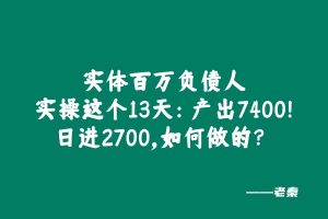 实体百万负债人实操这个13天：产出7400！日进2700，如何做的？ 老秦