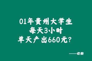实操案例:01年的贵州大学生,每天3小时,单天产出660元? 老秦