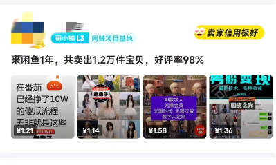 图片[26] 实操案例：01年的贵州大学生，每天3小时，单天产出660元？ 老秦