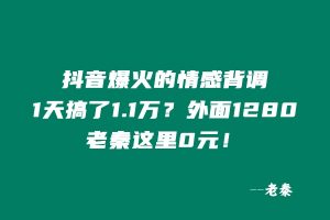抖音爆火的情感背调,1天搞了11985元?外面1280,老秦这里0元! 老秦