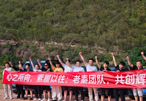 为什么他选择我们？43岁新手10天跑通虚拟电商，单天最高战绩542元​？ 老秦