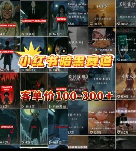 小红书暗黑小众情感赛道，客单价100-300+?用户量很大，0门槛即可操作 老秦