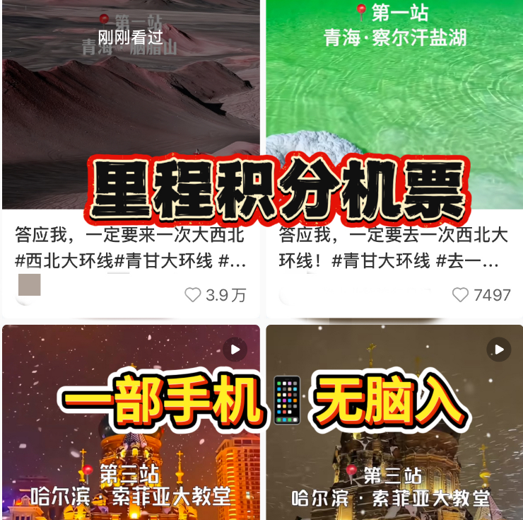 冷门里程积分兑换机票玩法，一部手机，小白无脑入，全职做轻松月入9W+？ 老秦