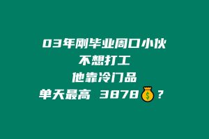 03年刚毕业周口小伙不想打工？他靠冷门品单天最高 3878💰？ 老秦
