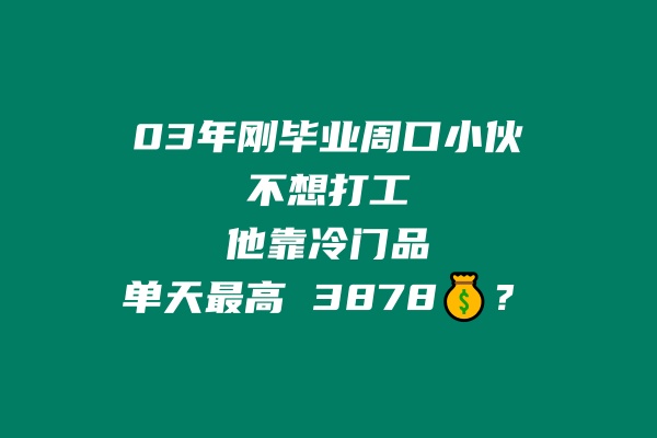 03年刚毕业周口小伙不想打工？他靠冷门品单天最高 3878💰？ 老秦