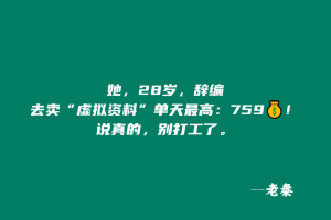 她,28岁,辞编卖“虚拟资料”,单天最高:759💰!说真的,别打工了。。 老秦