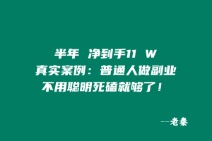 半年 净到手11 W真实案例:普通人做副业,不用聪明死磕就够了! 老秦