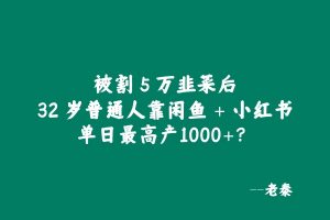 被割 5 W韭菜后,32 岁普通人靠闲鱼 + 小红书,稳定一天1000+💰?有点惊到我了!! 老秦