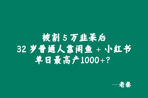 被割 5 W韭菜后，32 岁普通人靠闲鱼 + 小红书，稳定一天1000+💰？有点惊到我了！！ 老秦