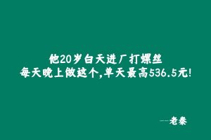 他20岁白天进厂打螺丝,每天晚上做这个,单天最高536.5元! 老秦