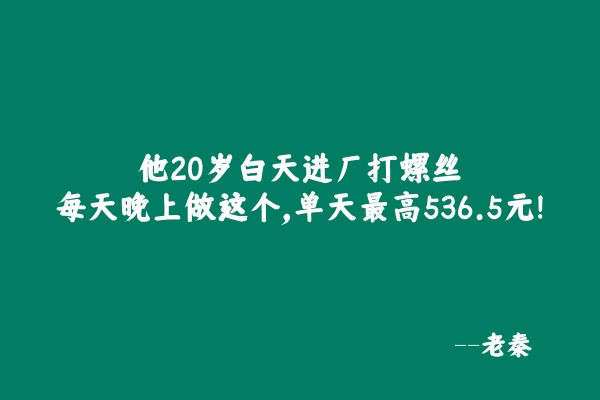 他20岁白天进厂打螺丝，每天晚上做这个，单天最高536.5元！ 老秦